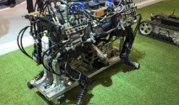 最新爆料国产机器人,揭秘最新爆料背后的科技力量