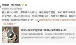 化妆品爆料王怎么用视频,视频内容深度解析与精彩片段汇总