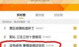 卓伟爆料张颖视频全集,张颖视频事件全记录