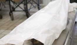 太平间真实爆料事件视频,真实爆料事件视频背后的惊人真相