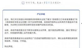 昆明城投最新爆料消息,揭秘巨额投资背后的真相与挑战